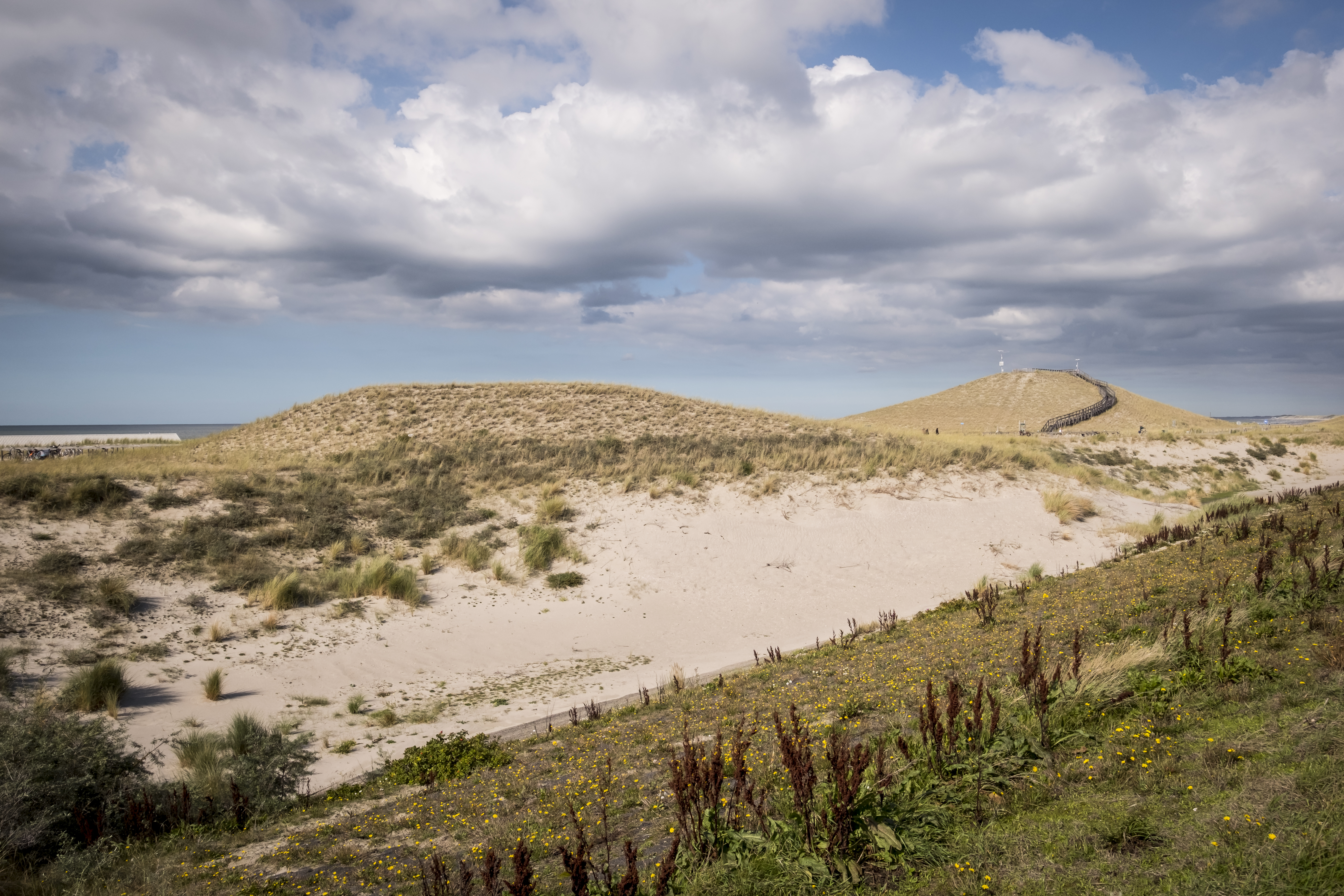 landschap