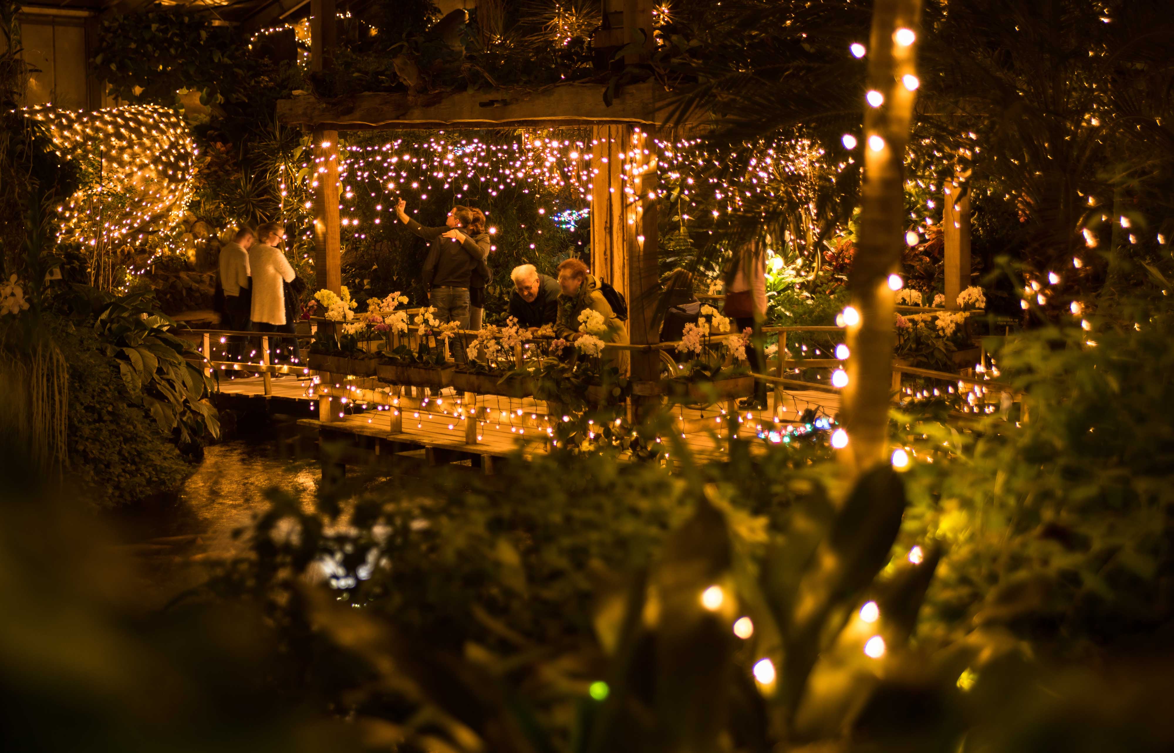 winterdroom kerst