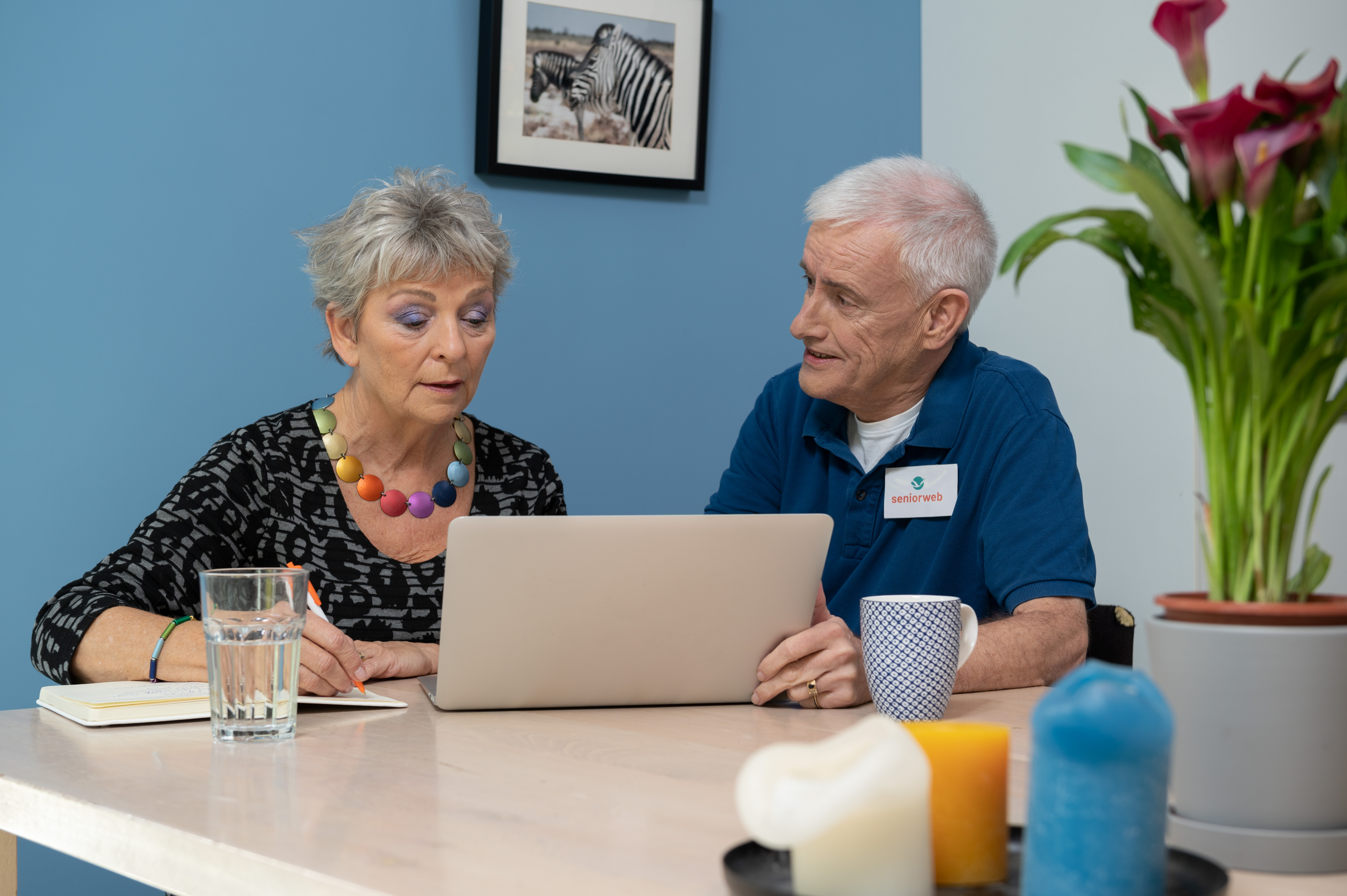 seniorweb