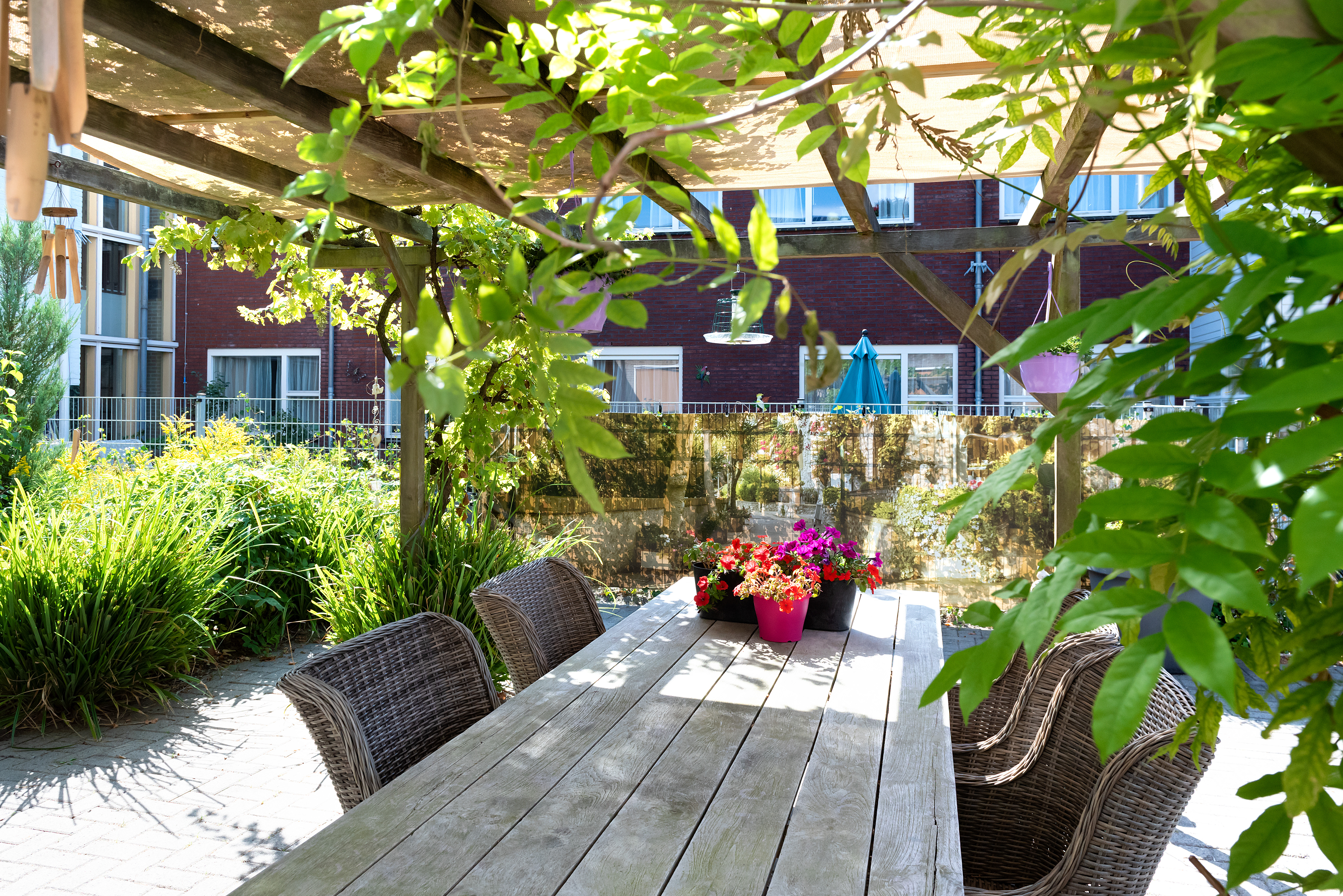 Terras Lindendael
