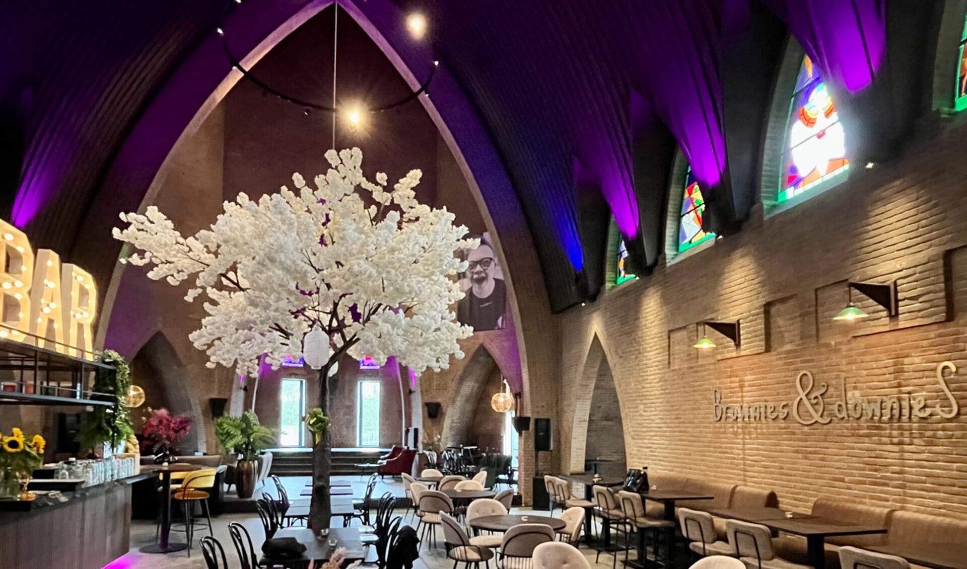 High Tea Brownies&downieS VOL Omring