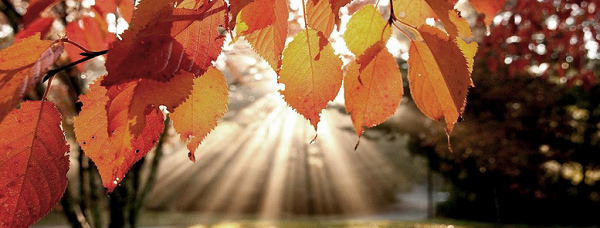 Herfst