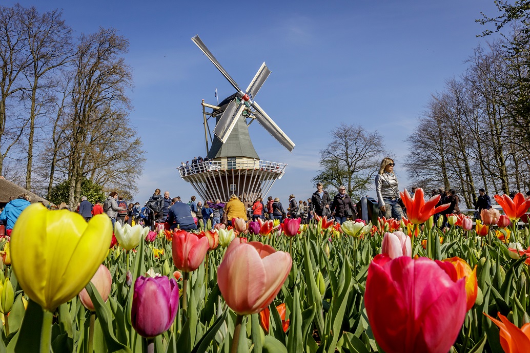keukenhof 3
