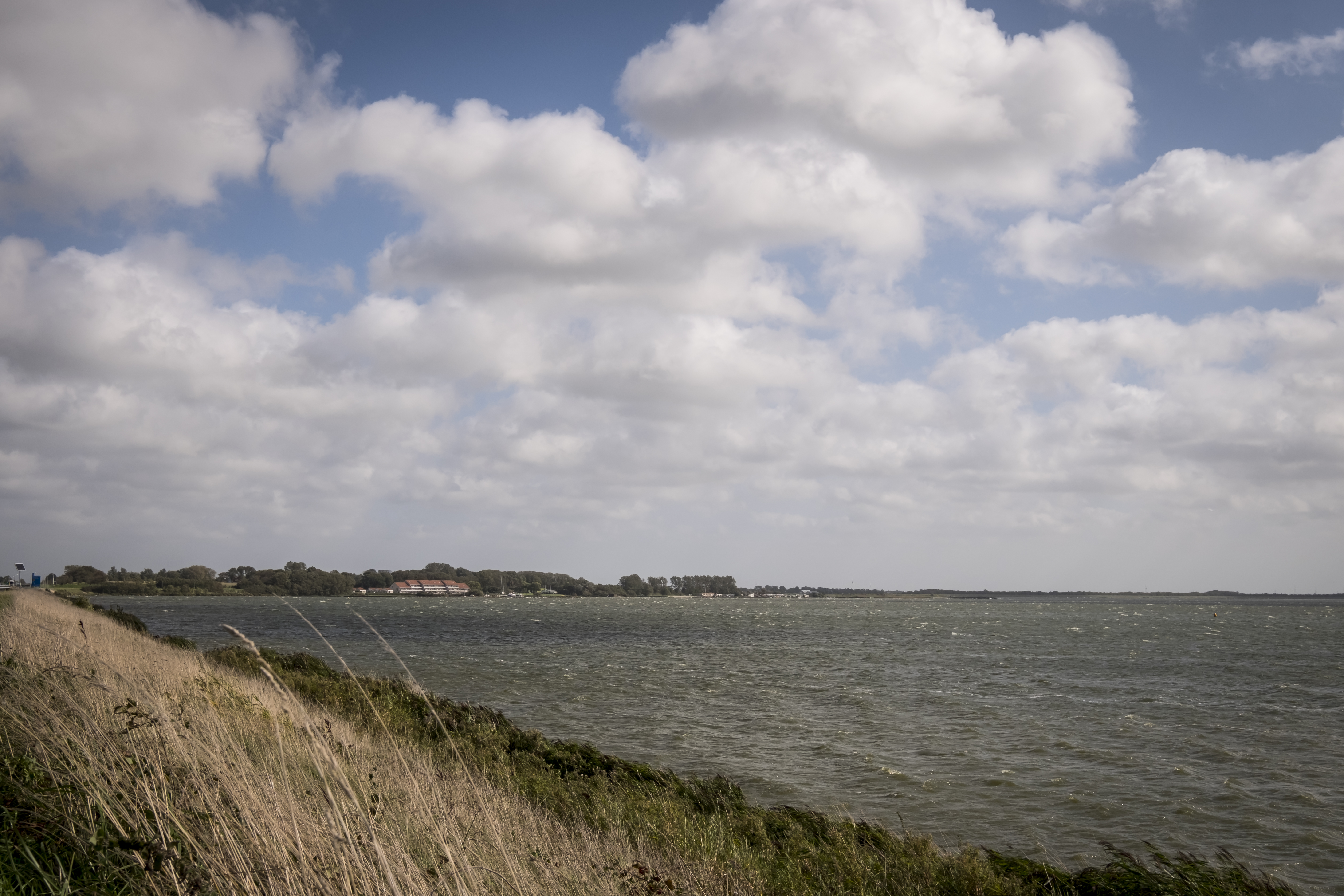 landschap