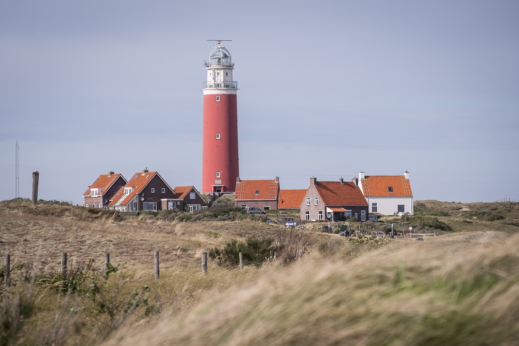 Texel