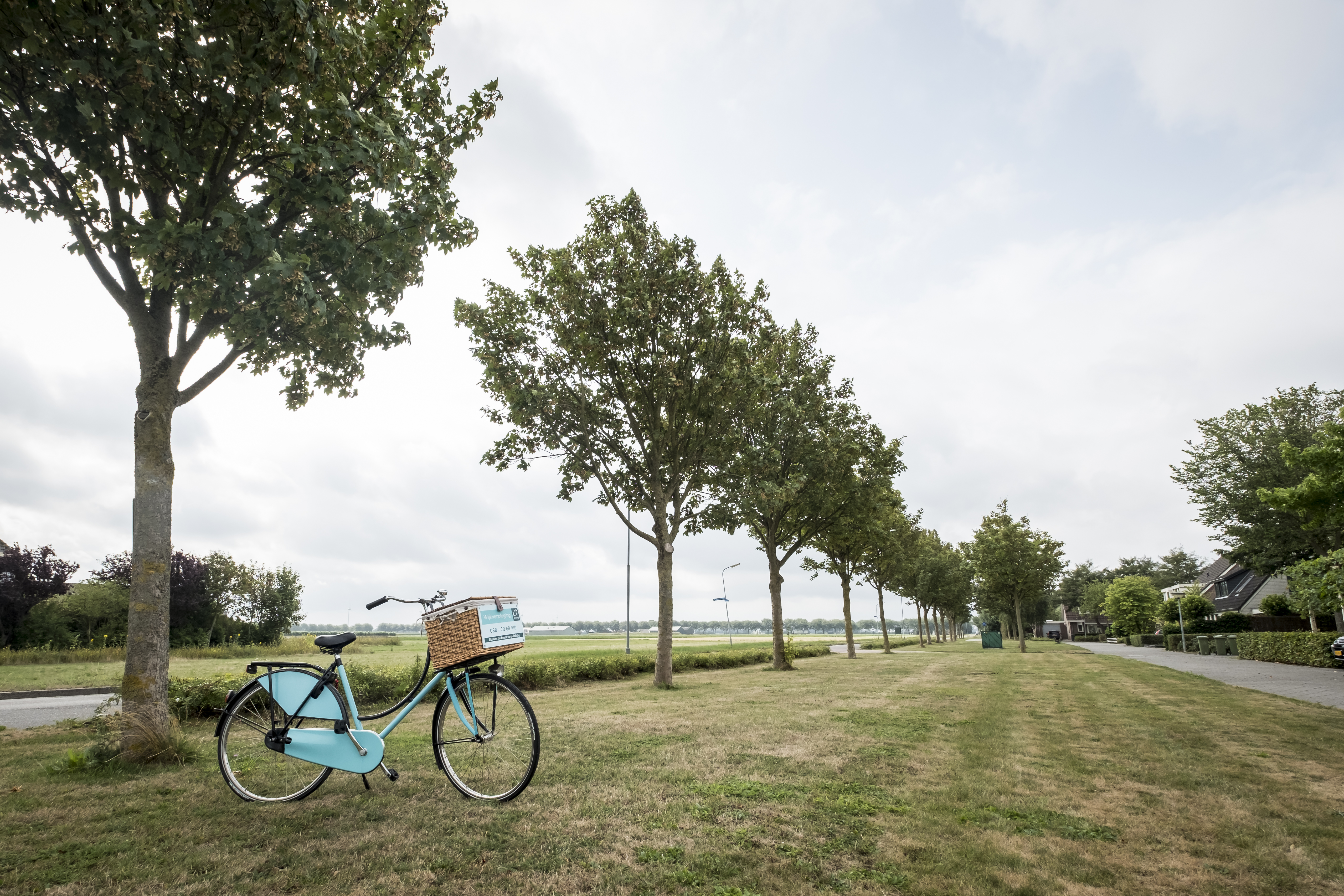ebike store