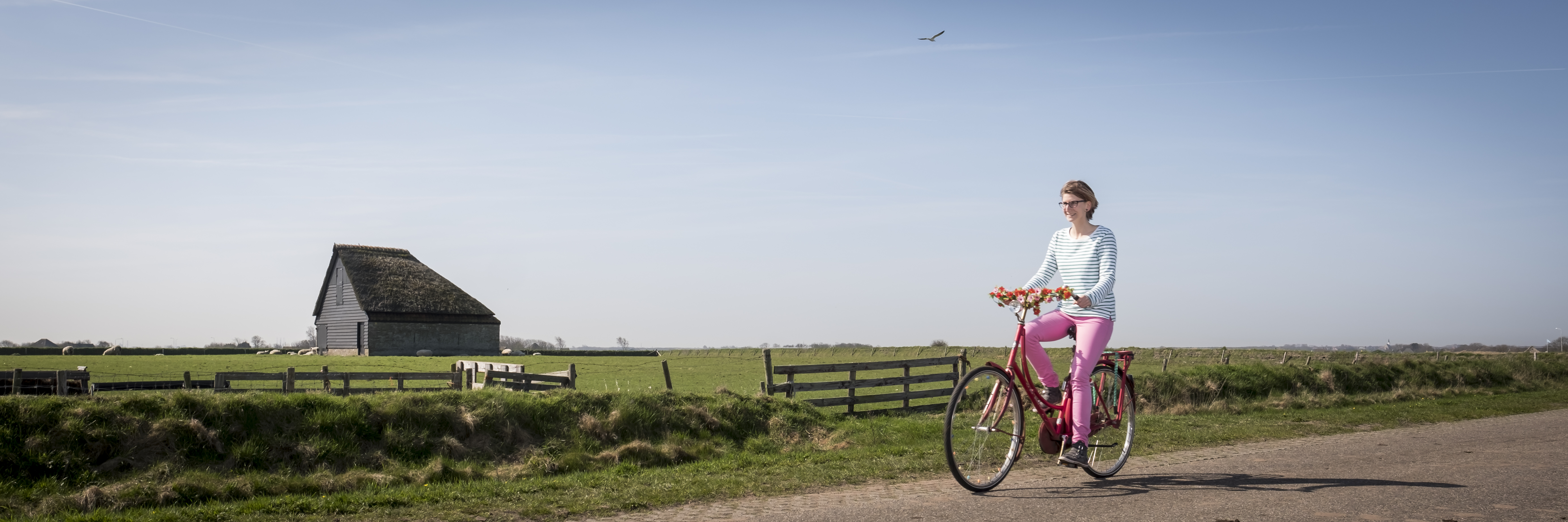 Texel