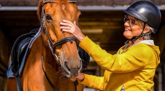 te paard