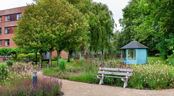 De tuin