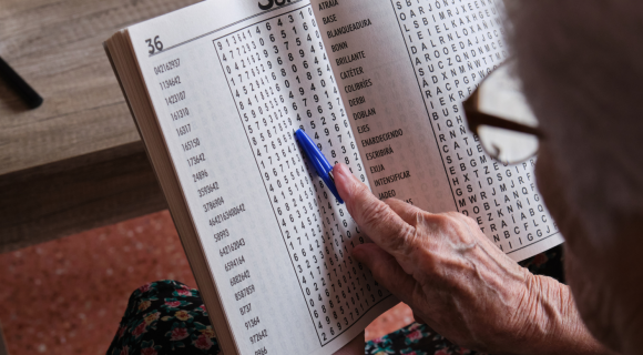 puzzel pagina