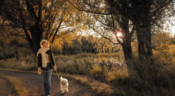 Alies Zwaan - vrijwilliger manager