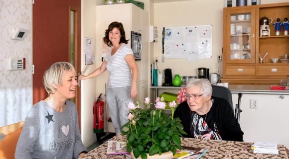 Koggenlandhuis overzicht woonkamer