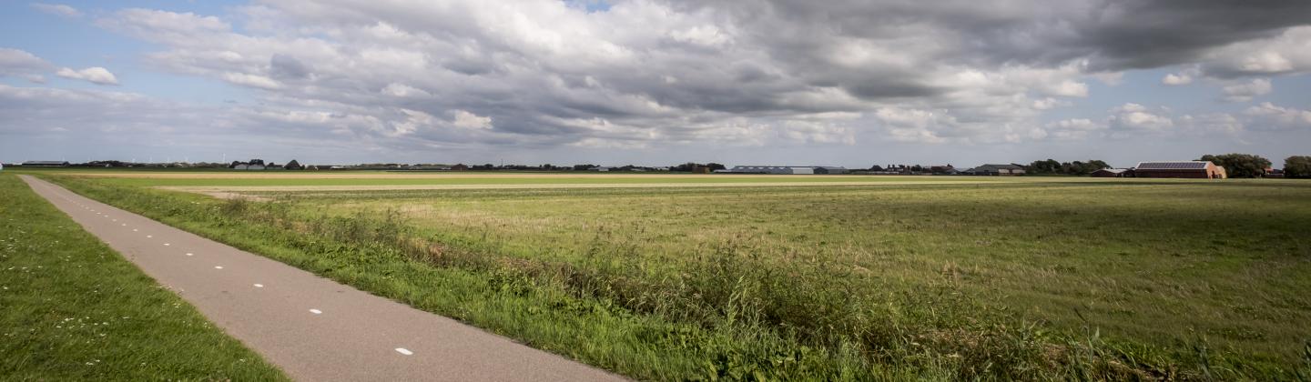 Testament voor het leven