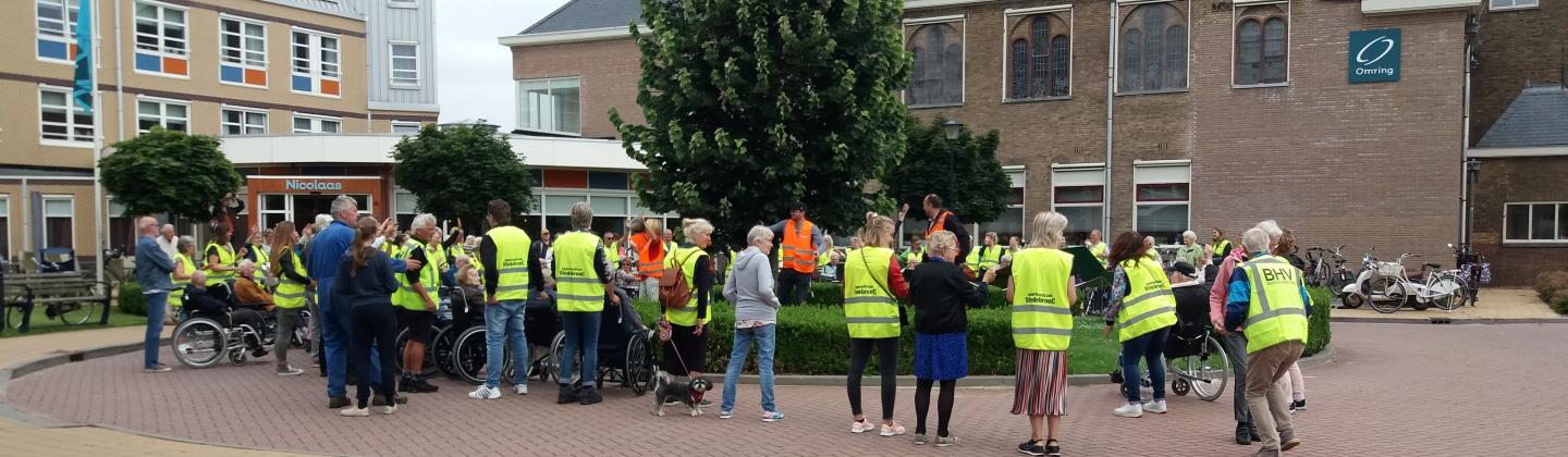 Wandeldriedaagse