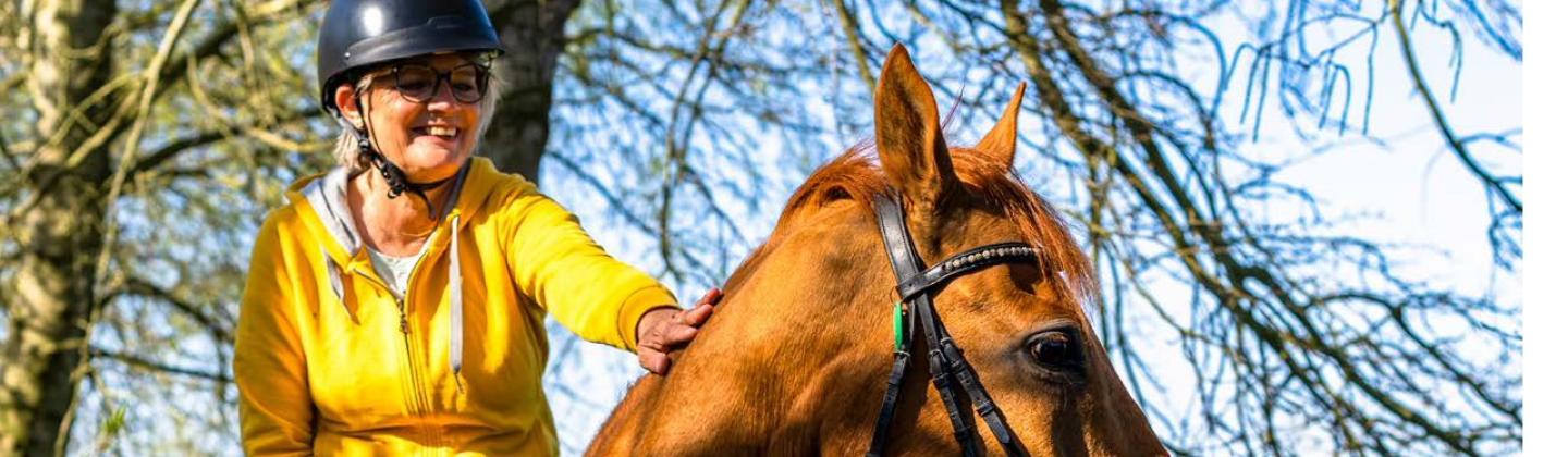te paard