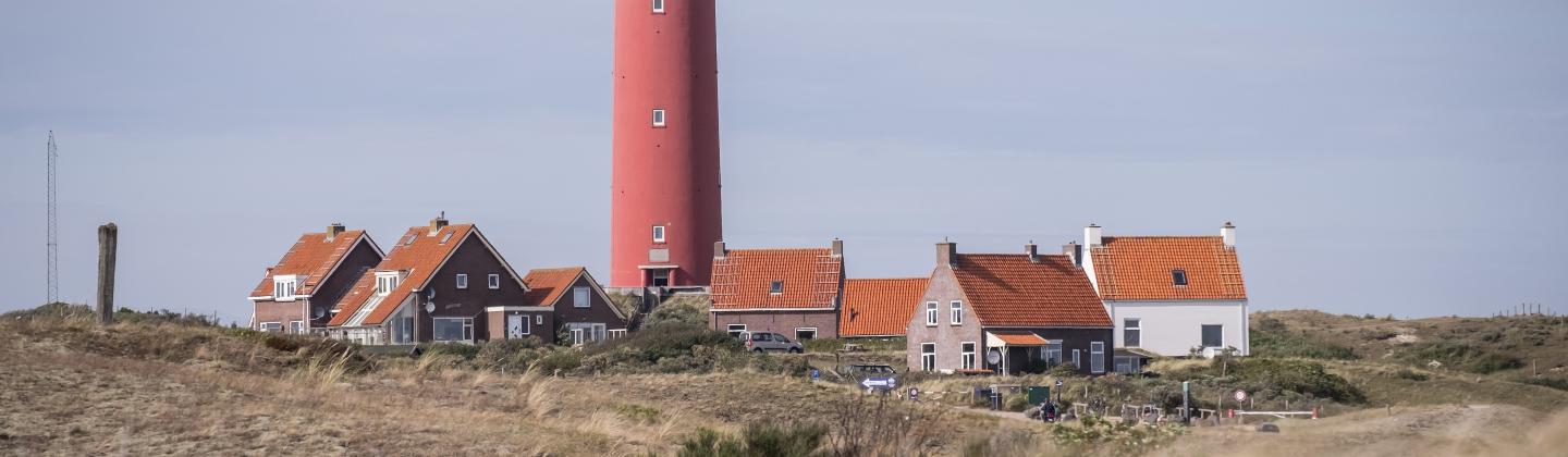 Texel