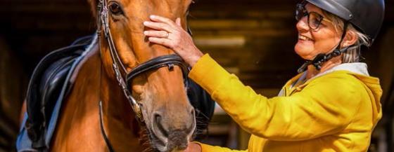 te paard