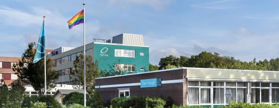 banner den koogh