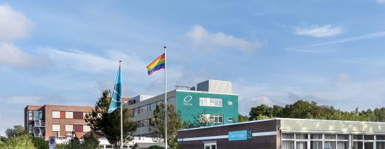 Banner den koogh