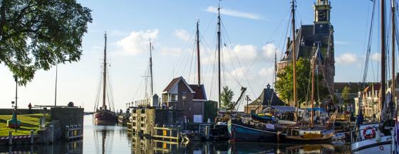 hoorn