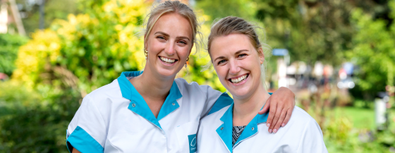Thuiszorgteams