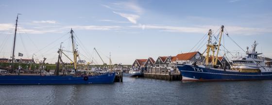 De haven van Oudeschild op Texel.