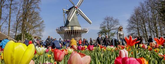 keukenhof 3
